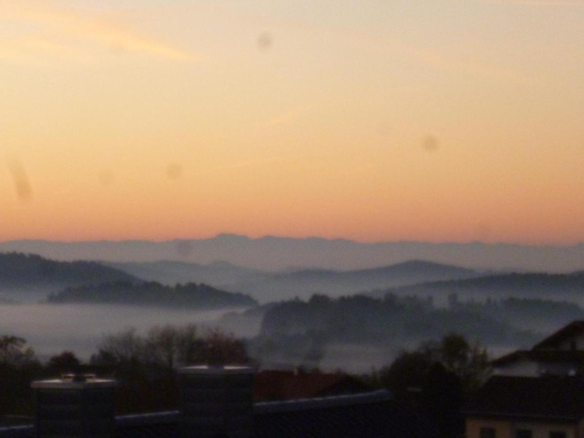 Ferienwohnungen Alpenblick Mit Garten -Panoramasauna- Kirchdorf im Wald Eksteriør bilde