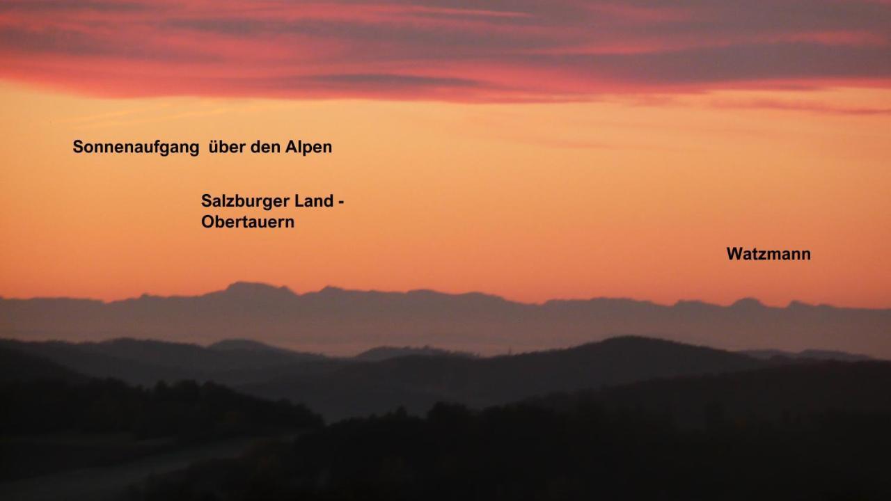 Ferienwohnungen Alpenblick Mit Garten -Panoramasauna- Kirchdorf im Wald Eksteriør bilde