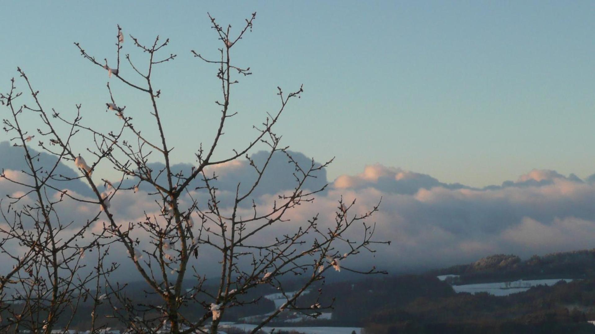 Ferienwohnungen Alpenblick Mit Garten -Panoramasauna- Kirchdorf im Wald Eksteriør bilde